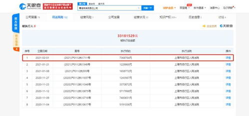 蛋殼公寓關聯公司再遭執行，信息技術背后的租賃風波